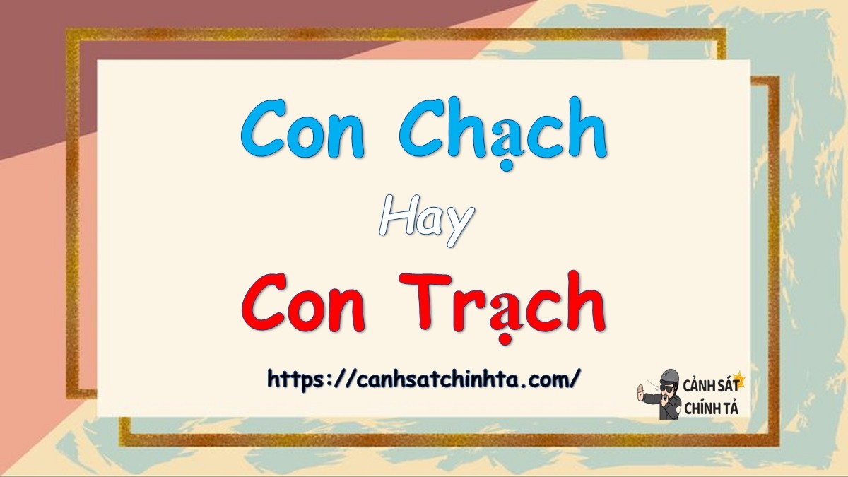 Hình ảnh minh họa sự khác biệt giữa "chạch" và "trạch"