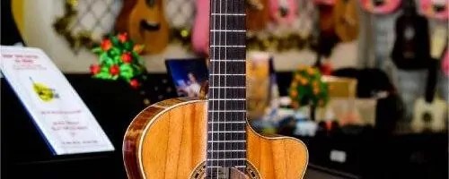 Đàn Guitar Classic NT C25 với chất liệu gỗ tự nhiên