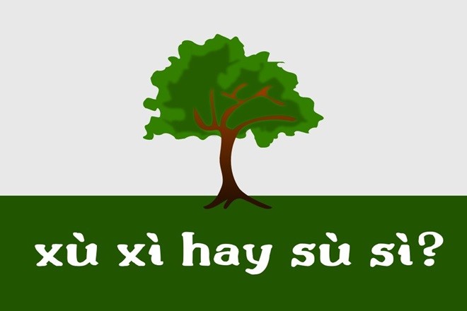 Bề mặt của thân cây có kết cấu không bằng phẳng, sần sùi