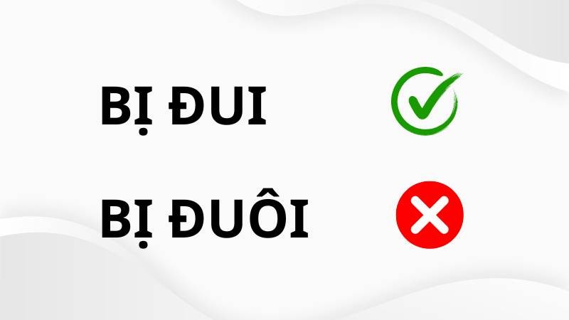 Phân biệt bị đuôi hay bị đui trong tiếng Việt