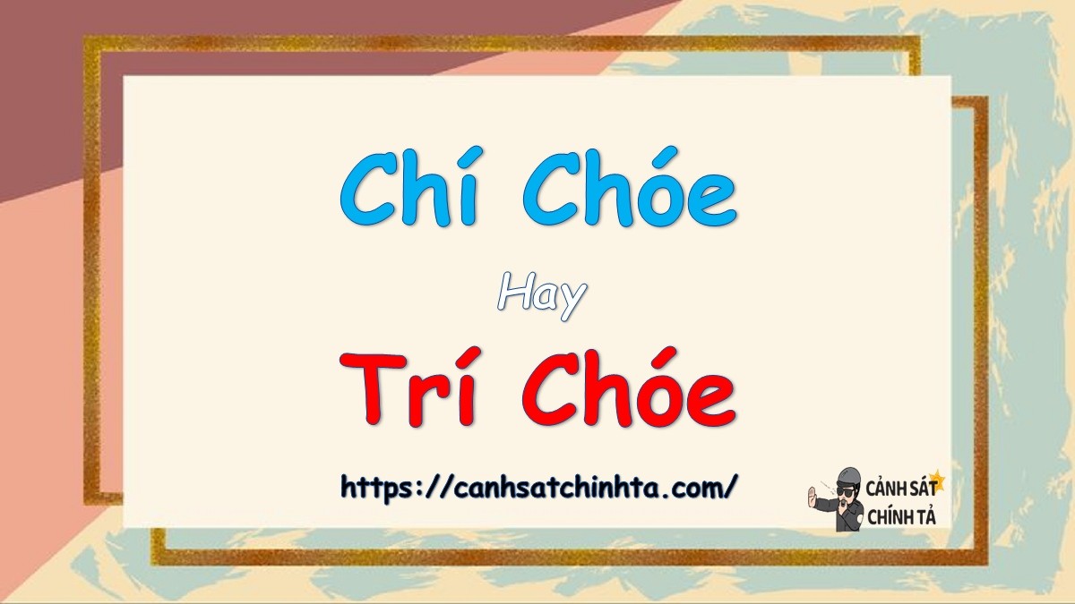 Hai từ chí chóe và trí chóe trên nền xanh, minh họa sự phân biệt chính tả thường gặp