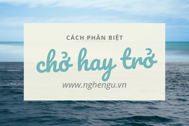 Con đường làng với xe cộ và người đi lại, minh họa cho việc vận chuyển hàng ngày