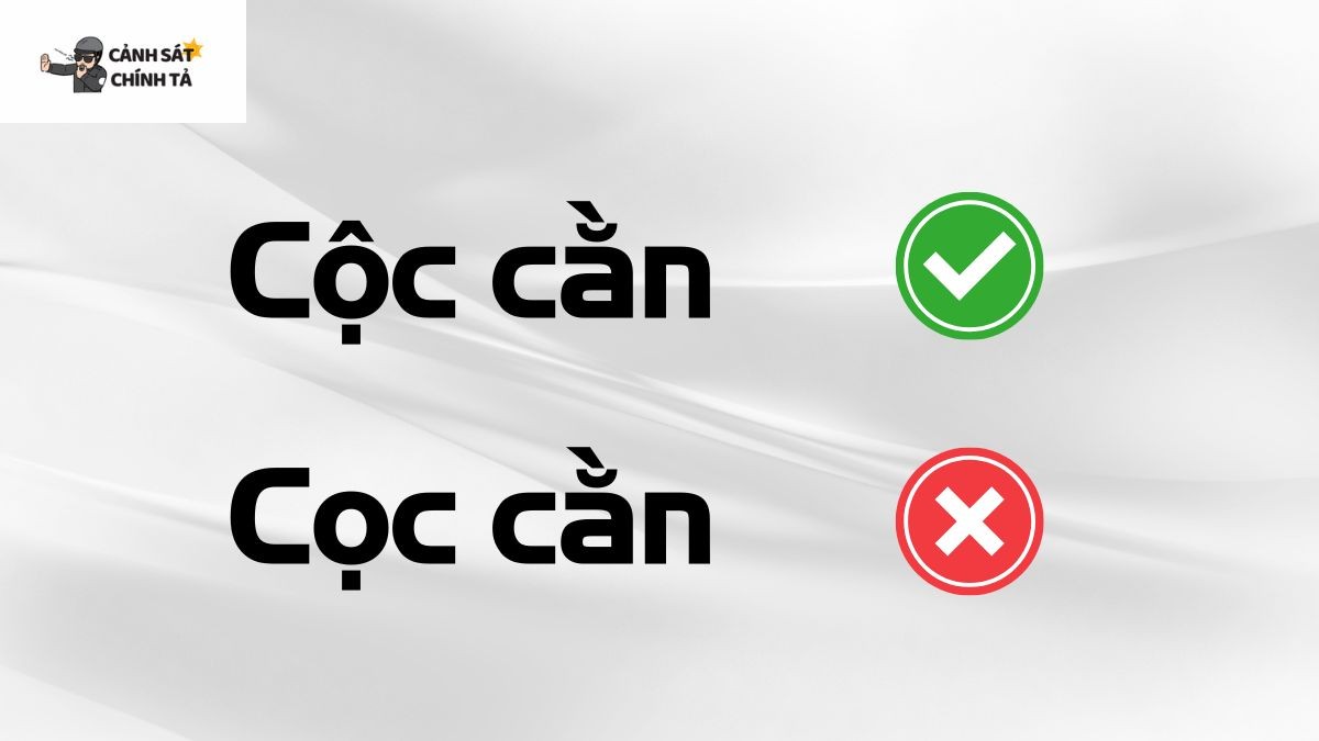 Hình ảnh minh họa sự nhầm lẫn giữa hai từ 'cộc cằn' và 'cọc cằn'