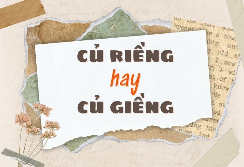 Củ riềng tươi với màu sắc vàng cam đặc trưng, sẵn sàng cho các món ăn và bài thuốc