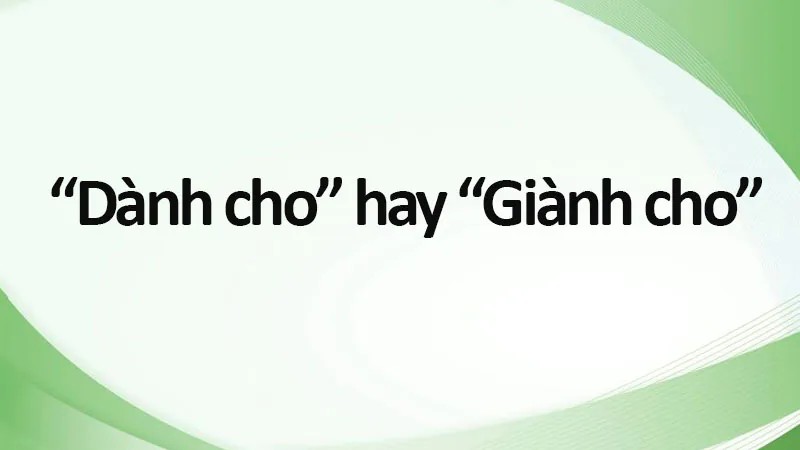 Một người đang cẩn thận gói quà, thể hiện sự chuẩn bị và trao tặng cho một ai đó