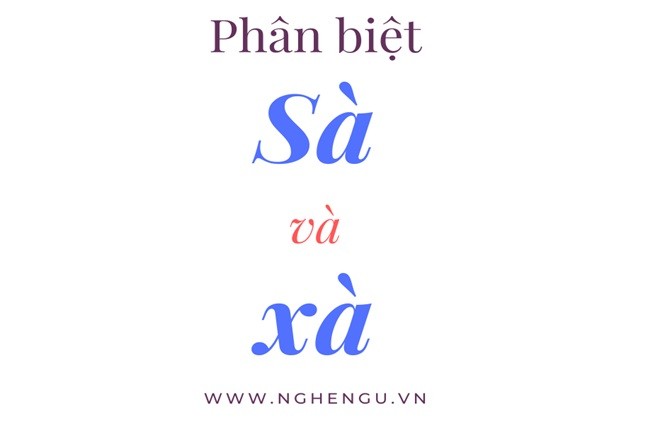 Đàn chim sà xuống cánh đồng vào buổi hoàng hôn