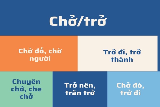 Một người đang lướt điện thoại, có thể đang tìm kiếm thông tin về từ ngữ