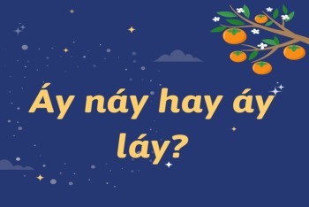 Phân biệt áy náy hay áy láy trong tiếng Việt