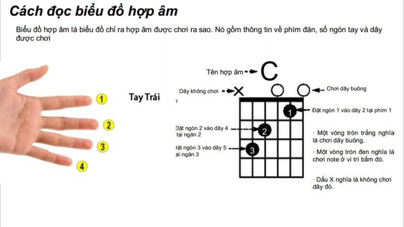 Cách đọc biểu đồ hợp âm guitar với các ký hiệu dây và phím đàn