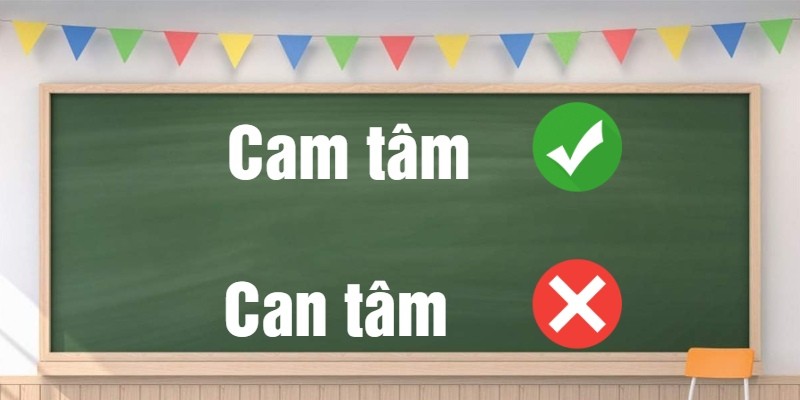 Người đang phân vân giữa hai lựa chọn, hình ảnh tượng trưng cho sự băn khoăn khi chọn Cam tâm hay Can tâm