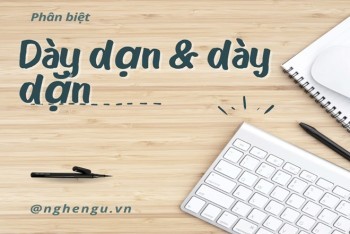 Giải thích dày dạn hay dày dặn kinh nghiệm