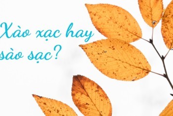 Xào xạc hay sào sạc: từ nào đúng chính tả